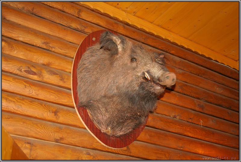 sauna_tt 010.jpg