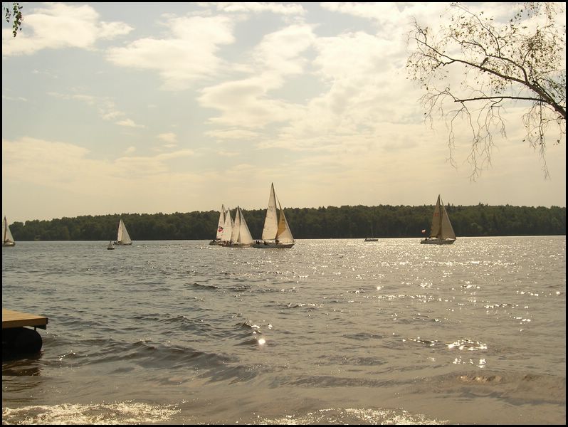 meet27082005023.jpg