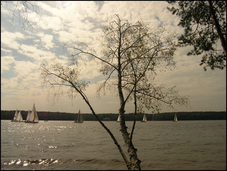meet27082005024.jpg