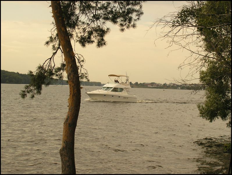 meet27082005087.jpg