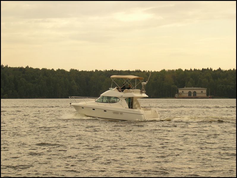 meet27082005089.jpg