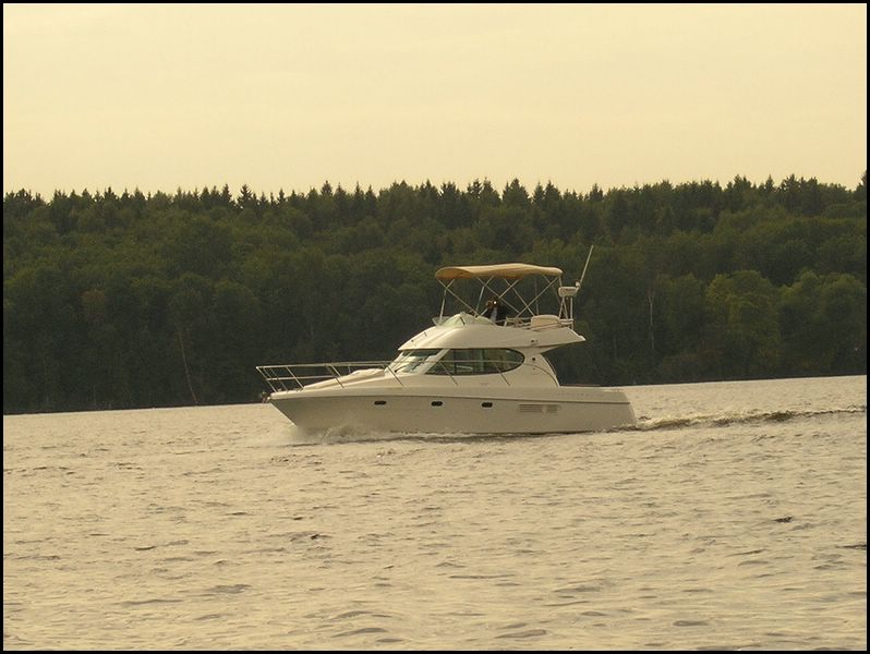 meet27082005120.jpg