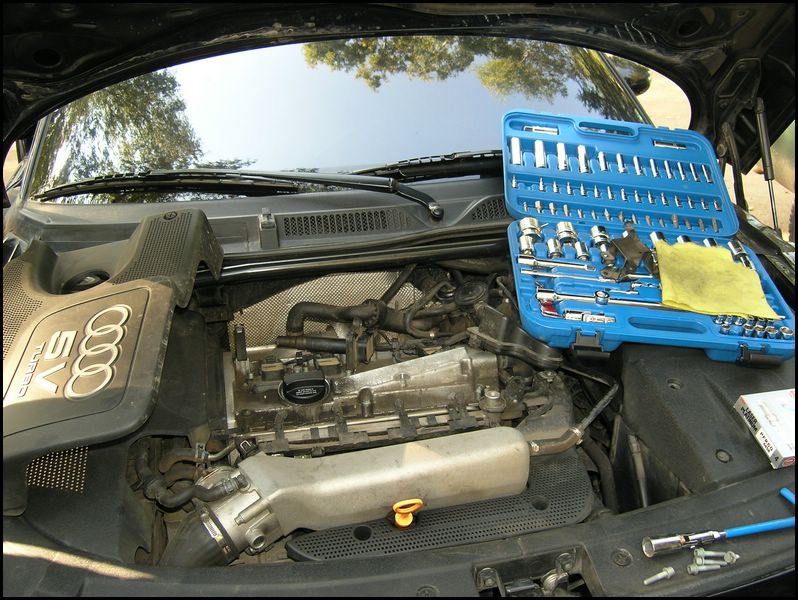 meet27082005179.jpg